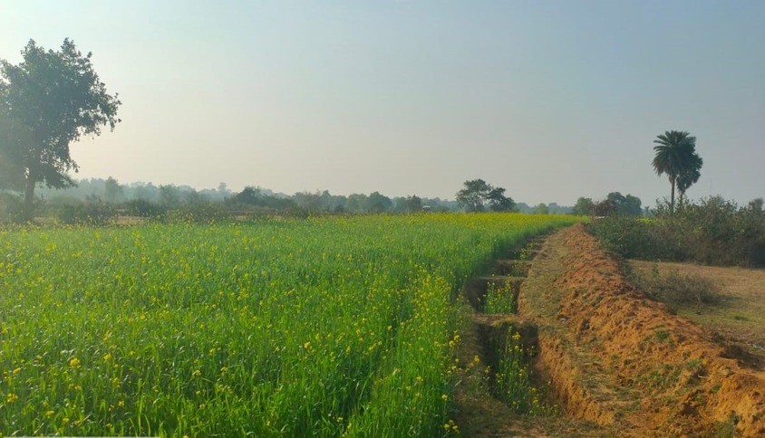 TCB: Conserving Soil, Strengthening Agriculture:- Jan Sewa Parishad promotes soil and water conservation, improves moisture retention, and supports sustainable agricultural development for rural communities.